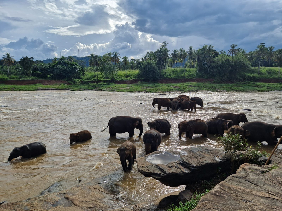 Journey To Ceylon-Udugama必去景点