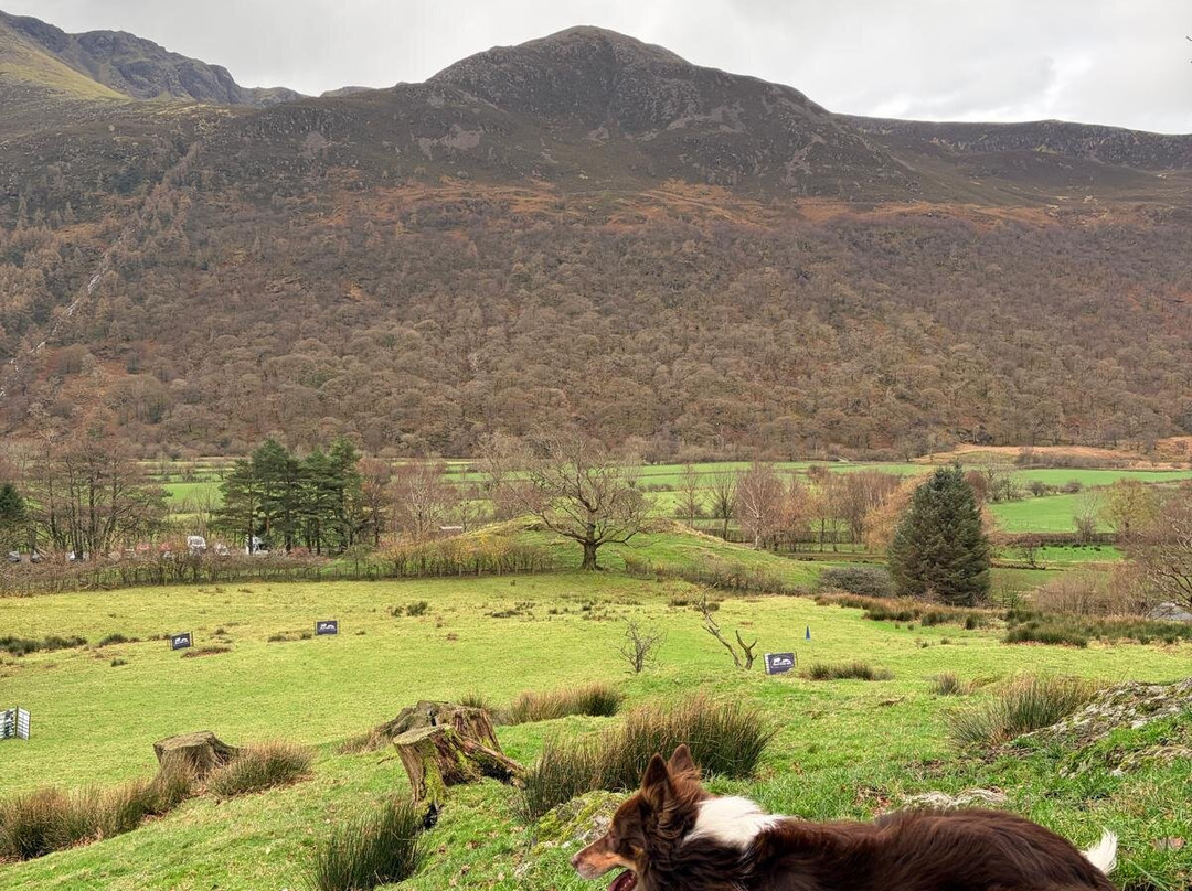 Cragg House Farm-Buttermere必去景点