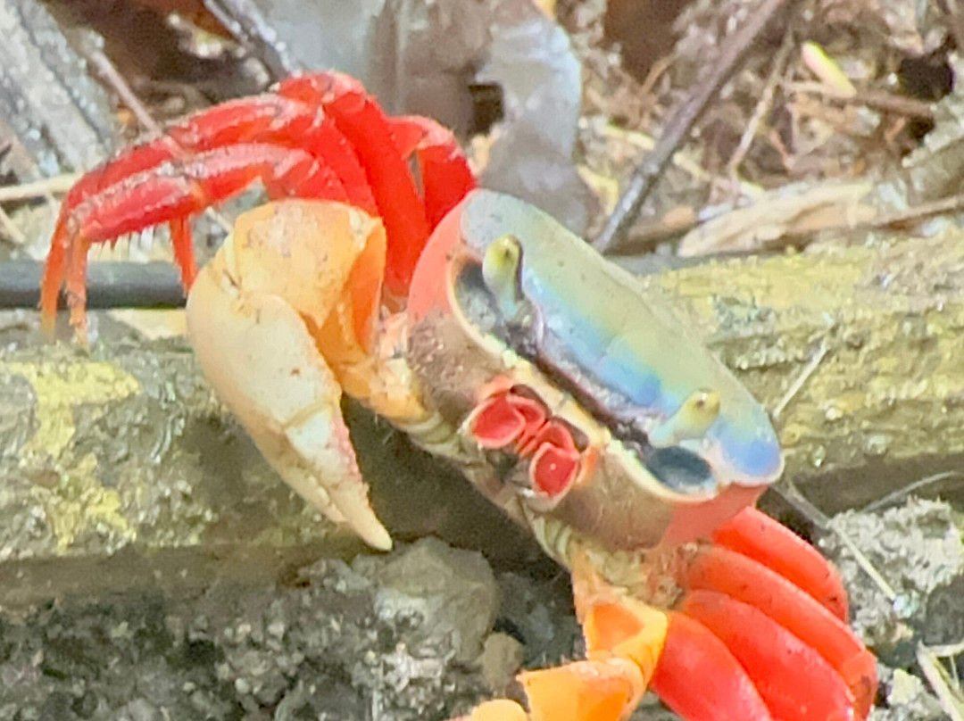 Piko Travel-艾拉杜拉必去景点