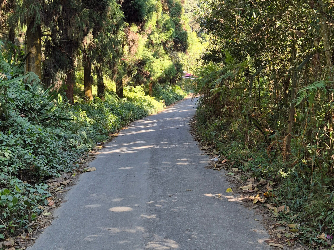 Summit Sherpa Mountain Inn主图