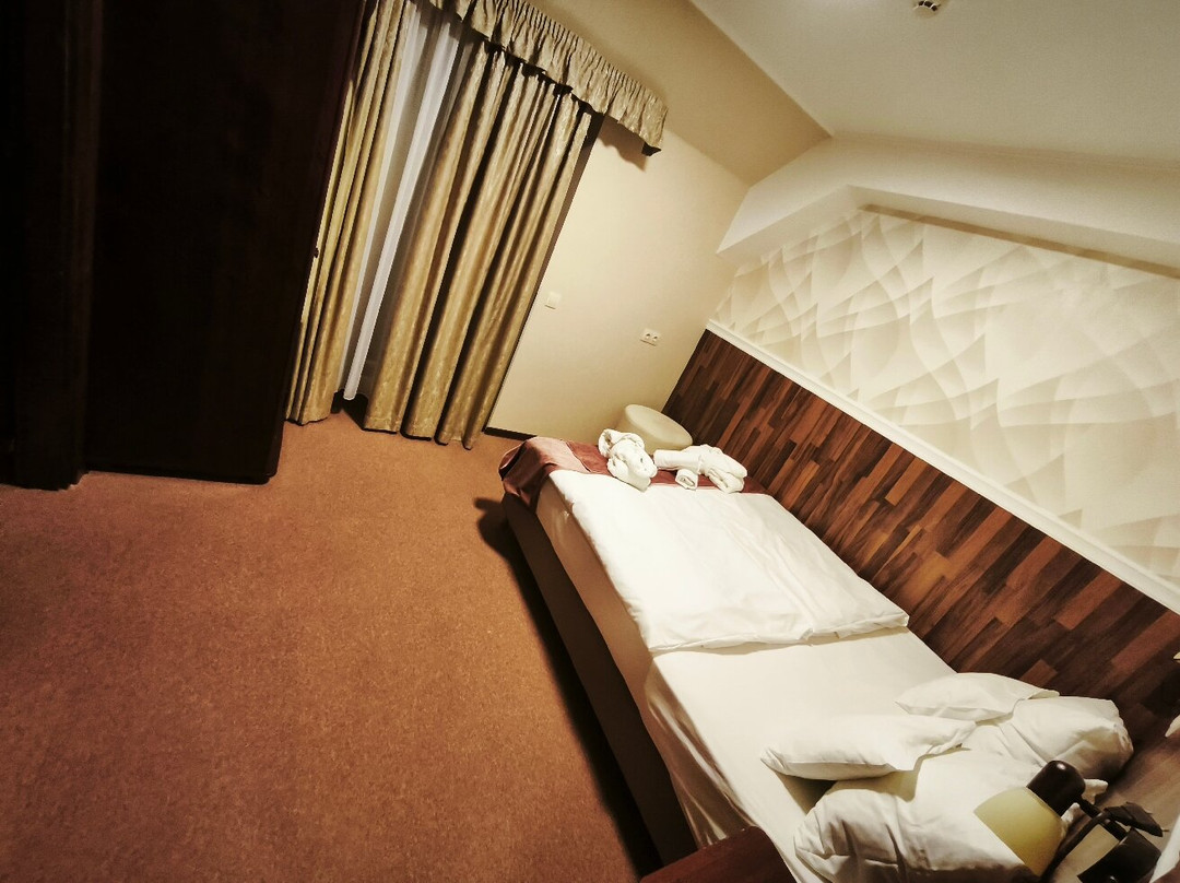 Thermal Hotel Vesta主图