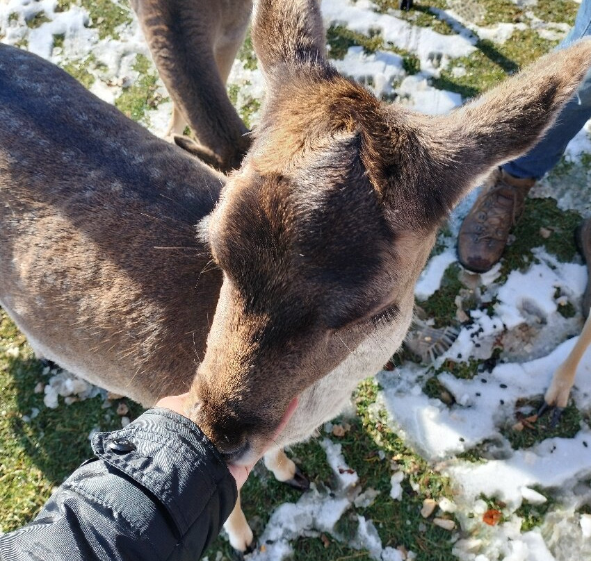 Centro Visita Daini-Scanno必去景点