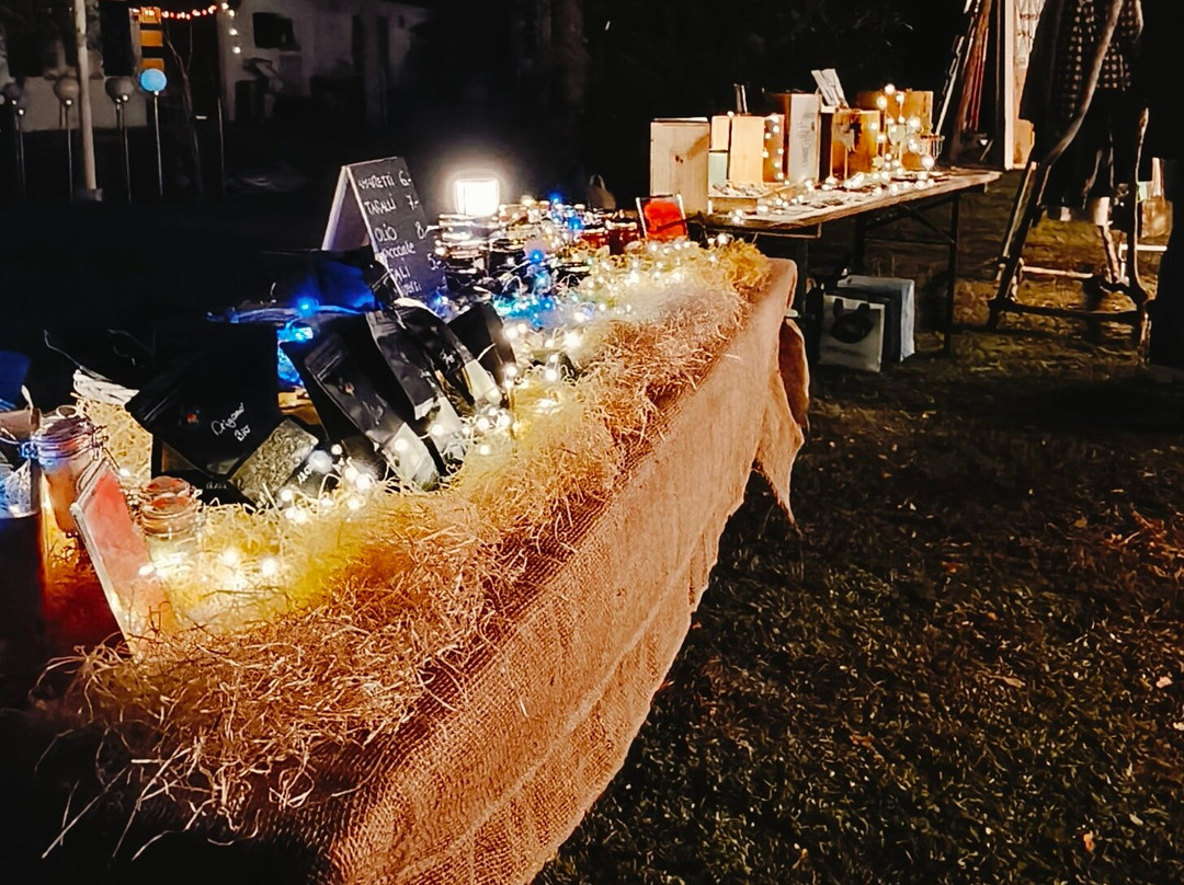 Vibra3vents-洛迦诺必去景点