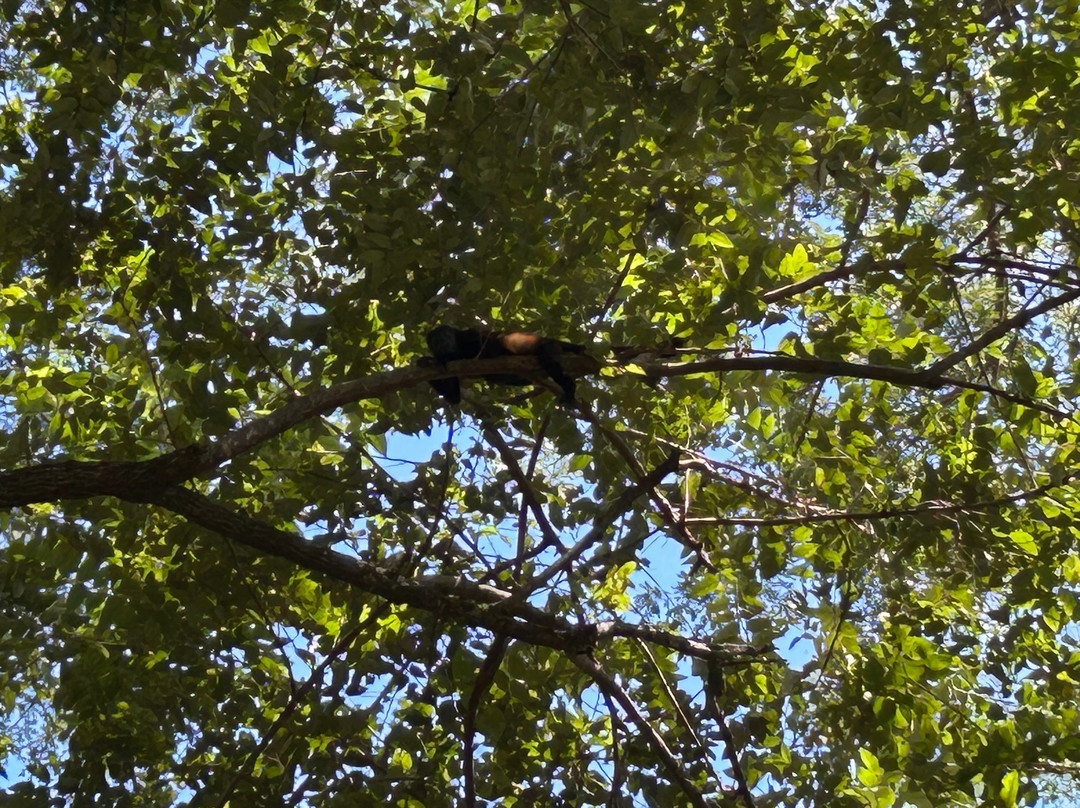 Life Time Travel-萨迪纳尔必去景点