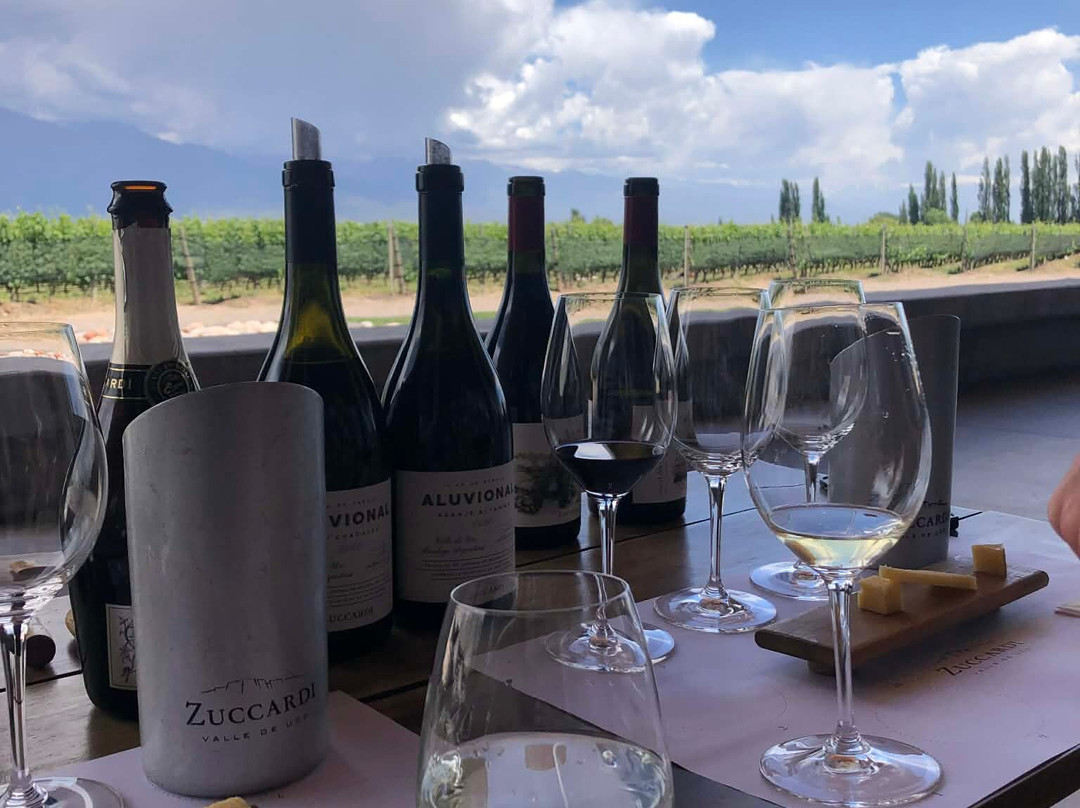 Bodega Zuccardi Valle de Uco-La Consulta必去景点