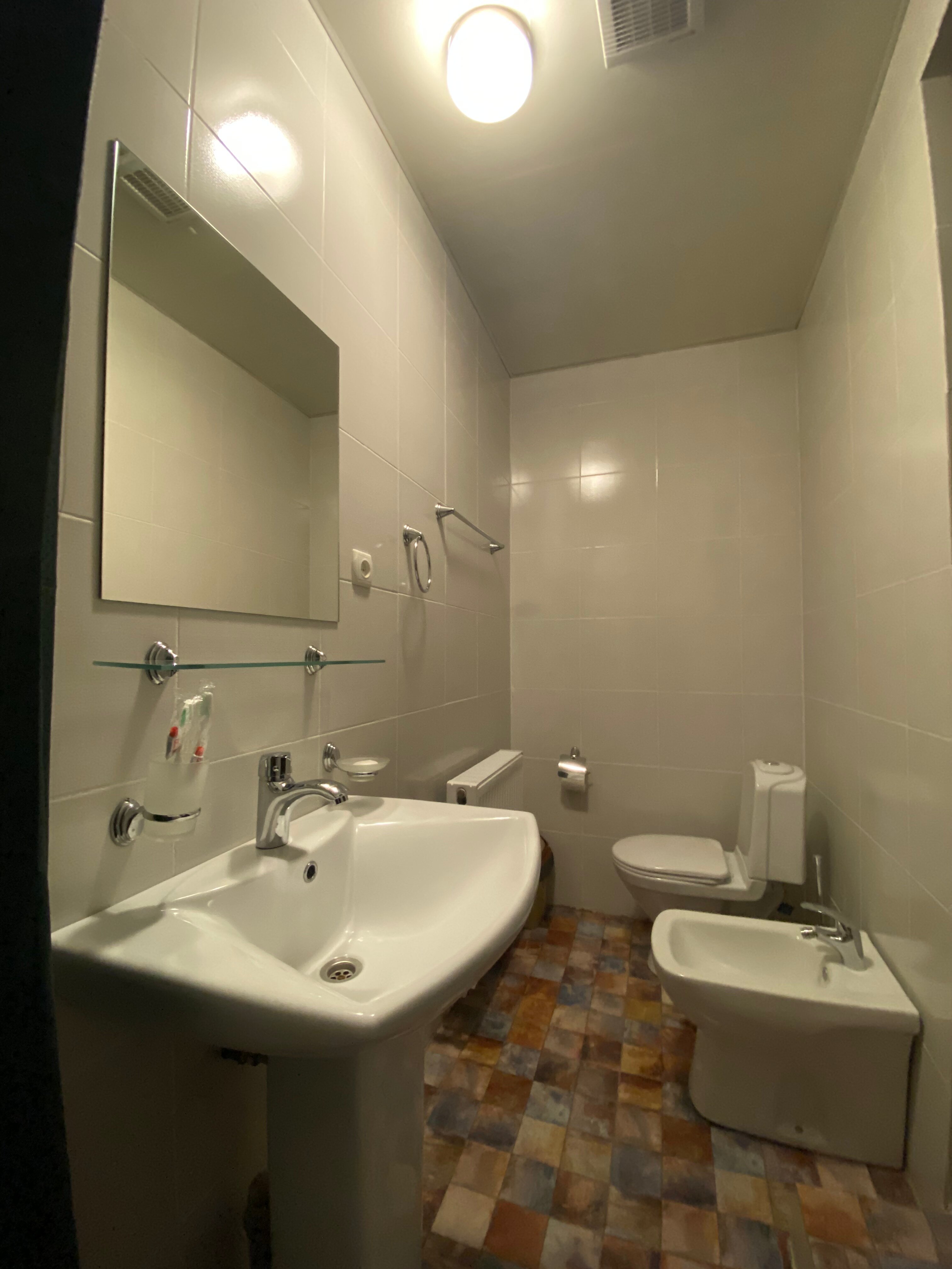 Art Villa Bakuriani-浴室