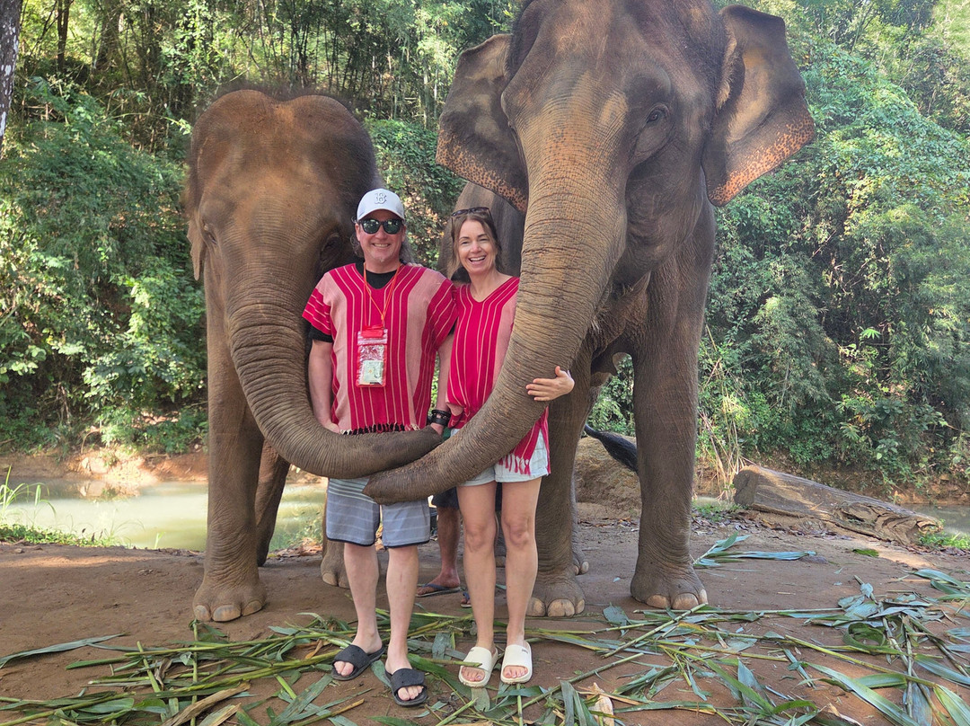 Kerchor Elephant Eco Park-清迈必去景点