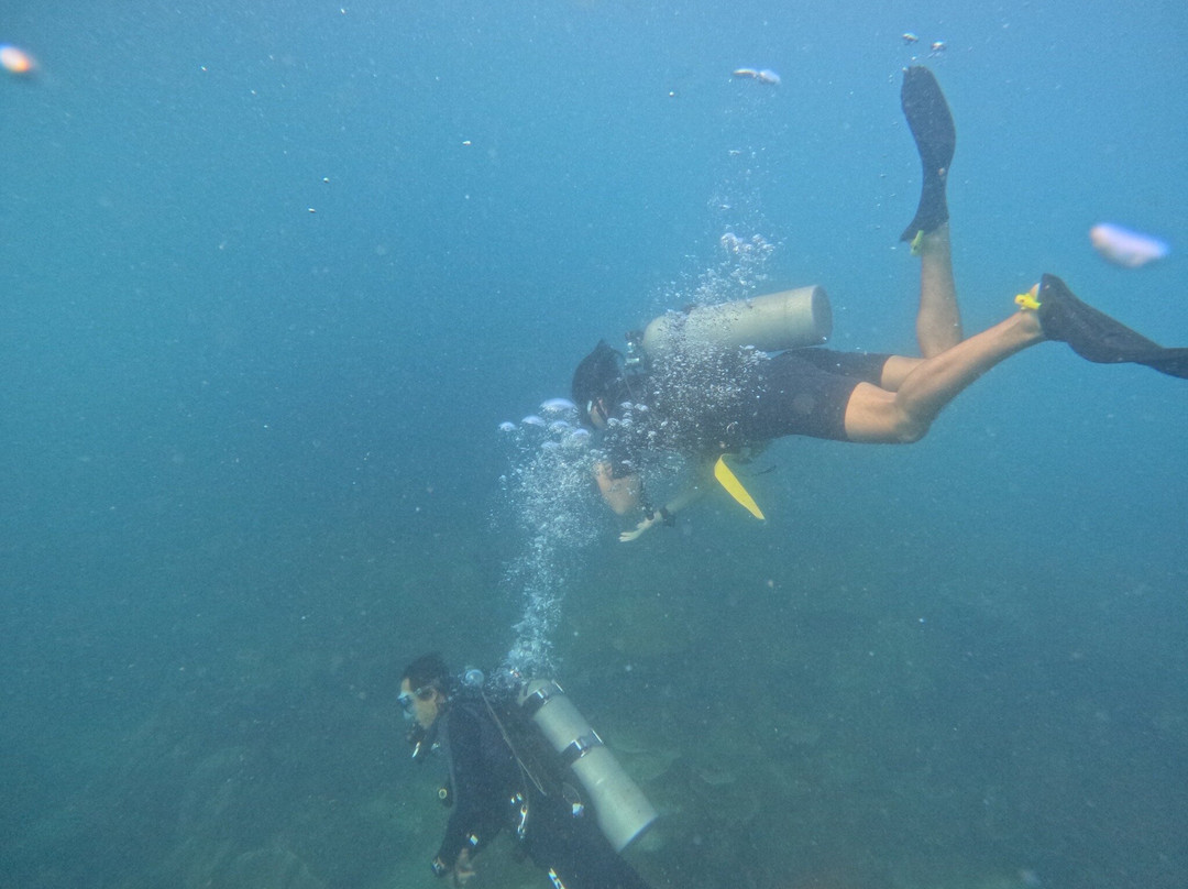 Chang Diving Center-象岛必去景点
