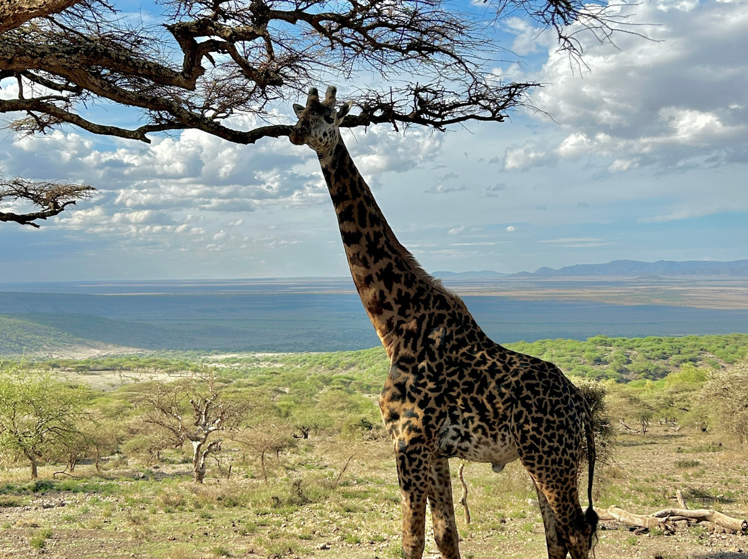 Unlimited Expeditions - The Soul Of Tanzania-阿鲁沙必去景点