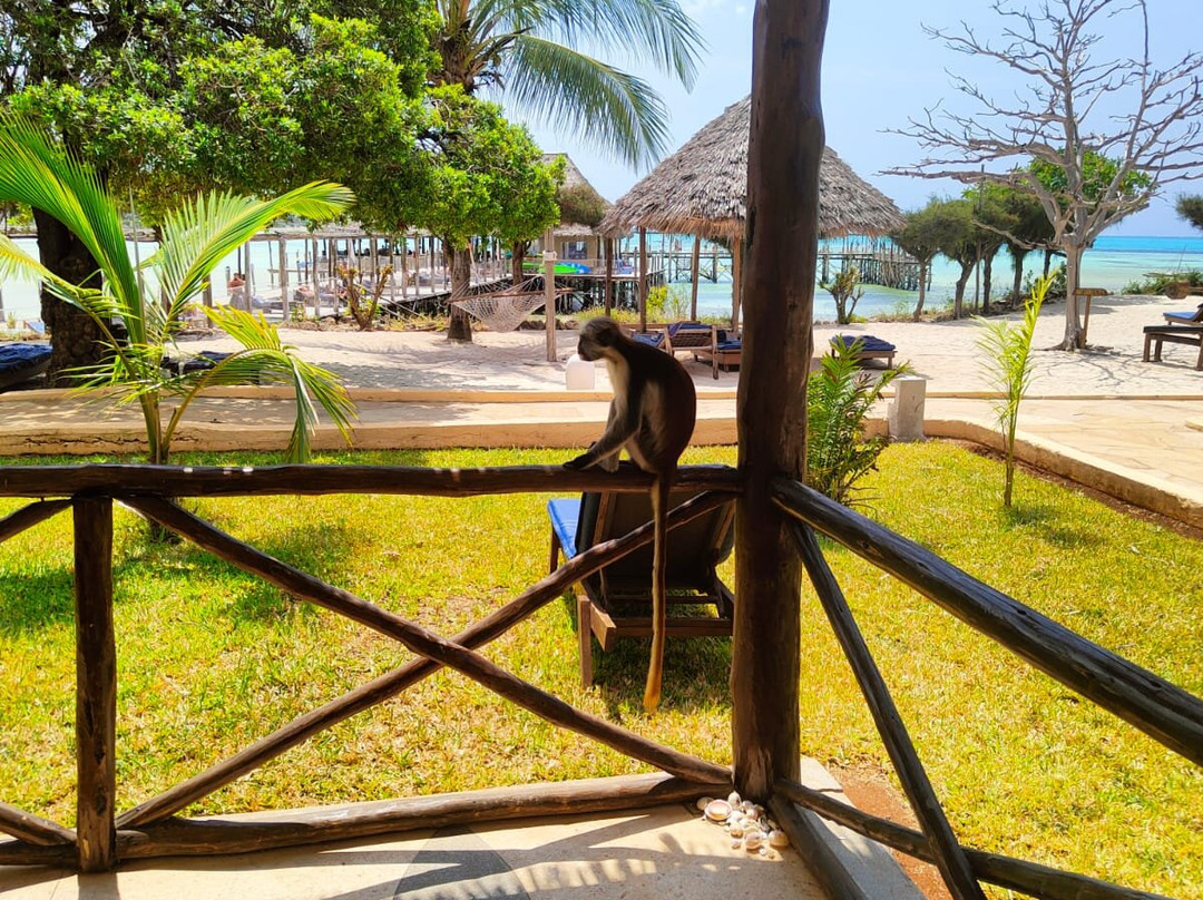 Reef & Beach Resort主图