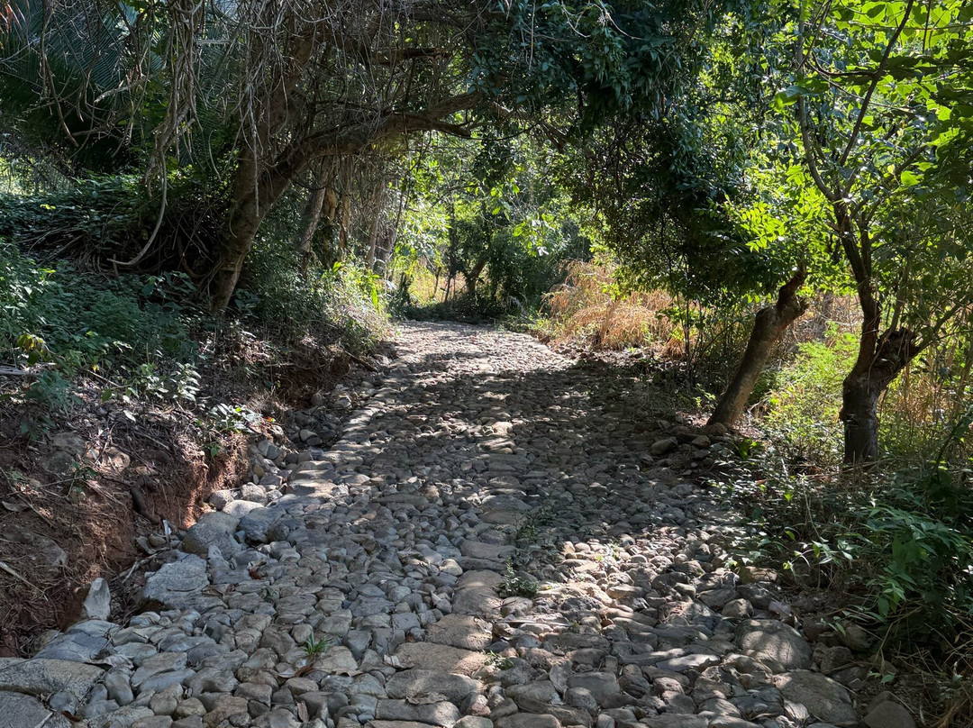 Mystic Embrace-Chacala必去景点