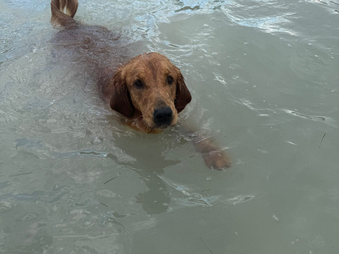 Cozumel Pearl Farm-考祖梅必去景点