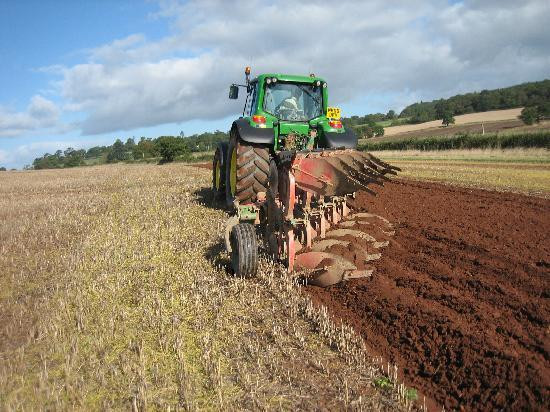 Burrow Farm Bed and Breakfast主图
