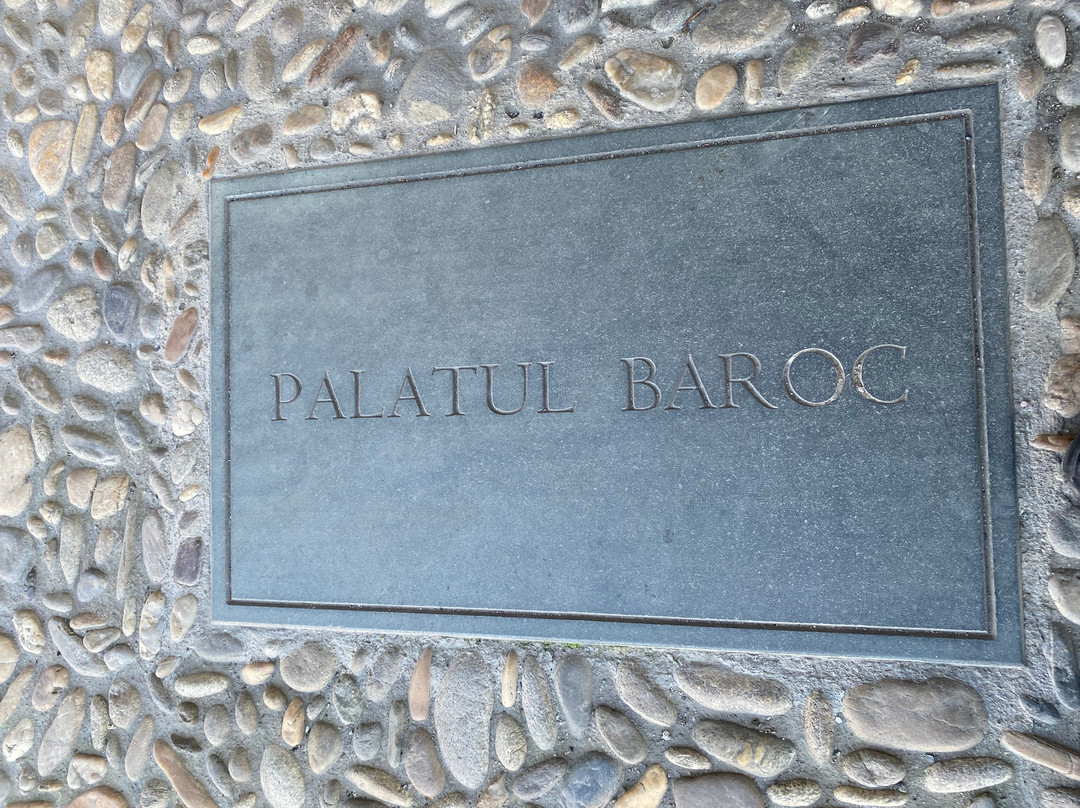 Muzeul Național de Artă Timișoara-蒂米什瓦拉必去景点