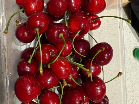 Jackson Orchards-克伦威尔镇必去景点