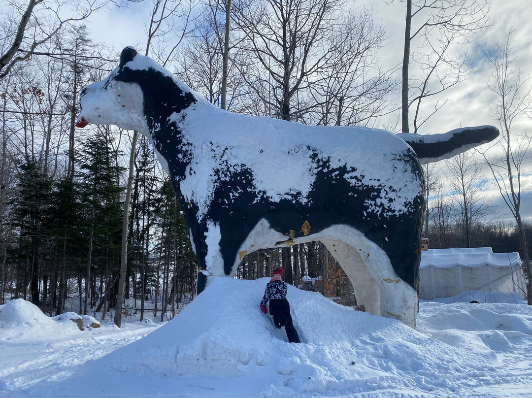 Passion Husky-李维斯必去景点