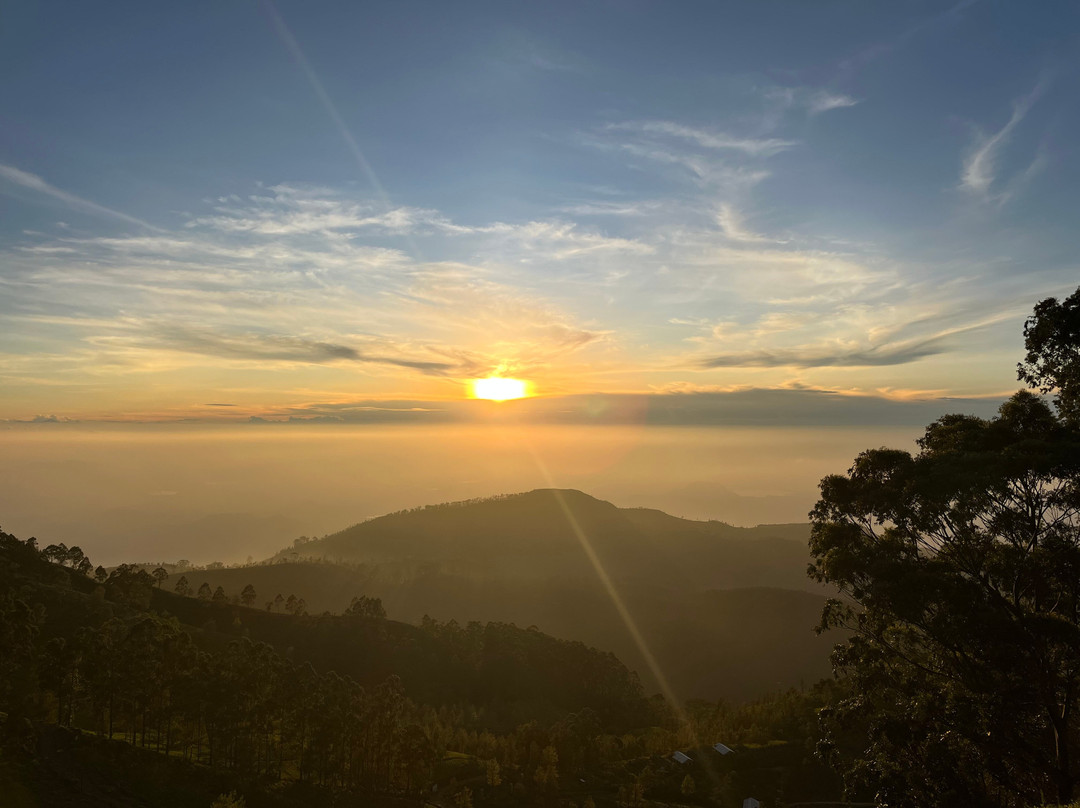 Nilowin Spice Kitchen-哈普特莱必去景点