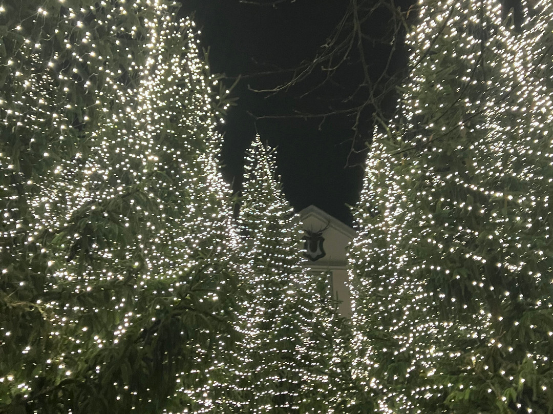 Marktplatz-戈斯拉尔必去景点