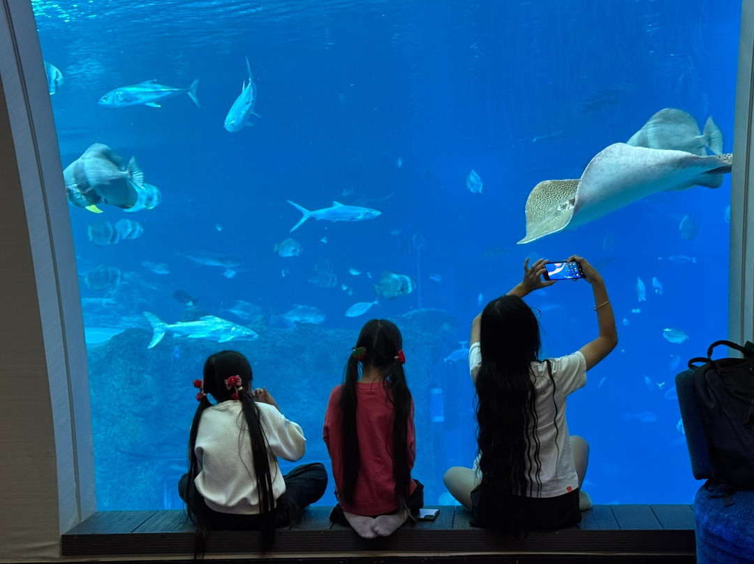 圣淘沙名胜世界海滨别墅