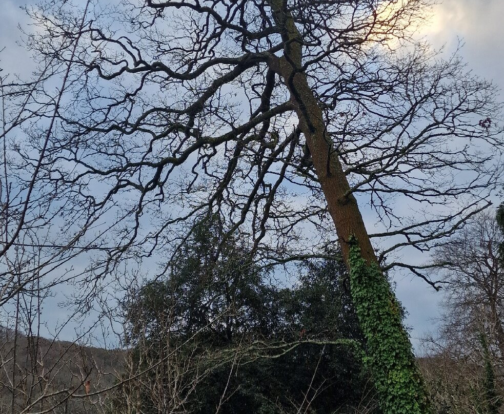 Trelissick-Feock必去景点