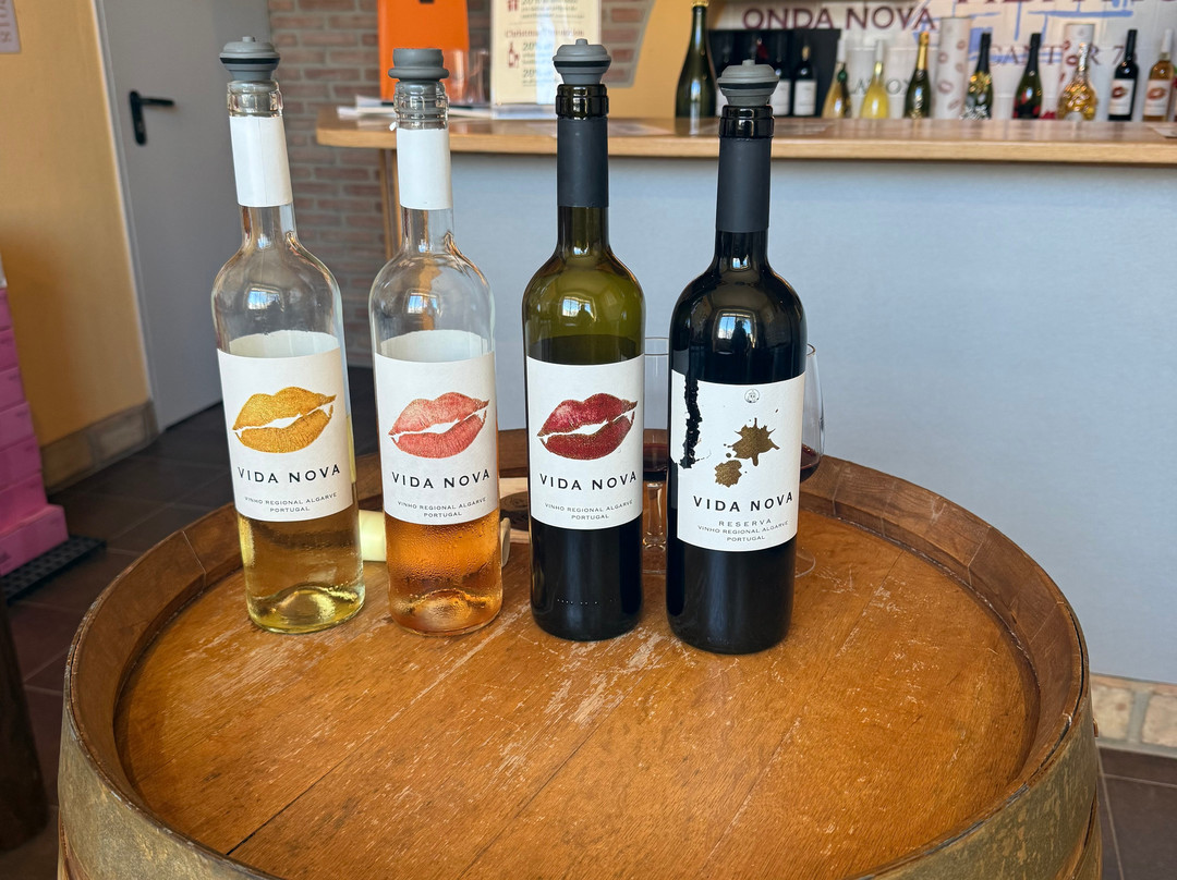 Adega do Cantor-阿尔布赞拉必去景点