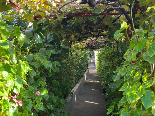 Nunes Taxi Turismo-沙尔必去景点