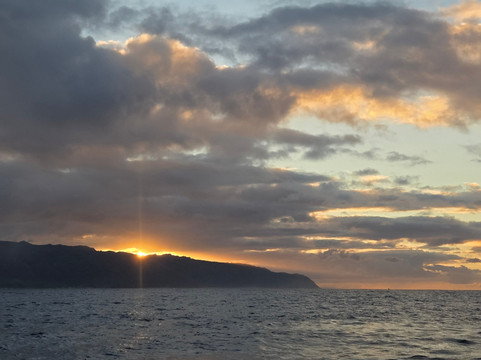 Haleiwa Shark Tours-哈雷瓦必去景点