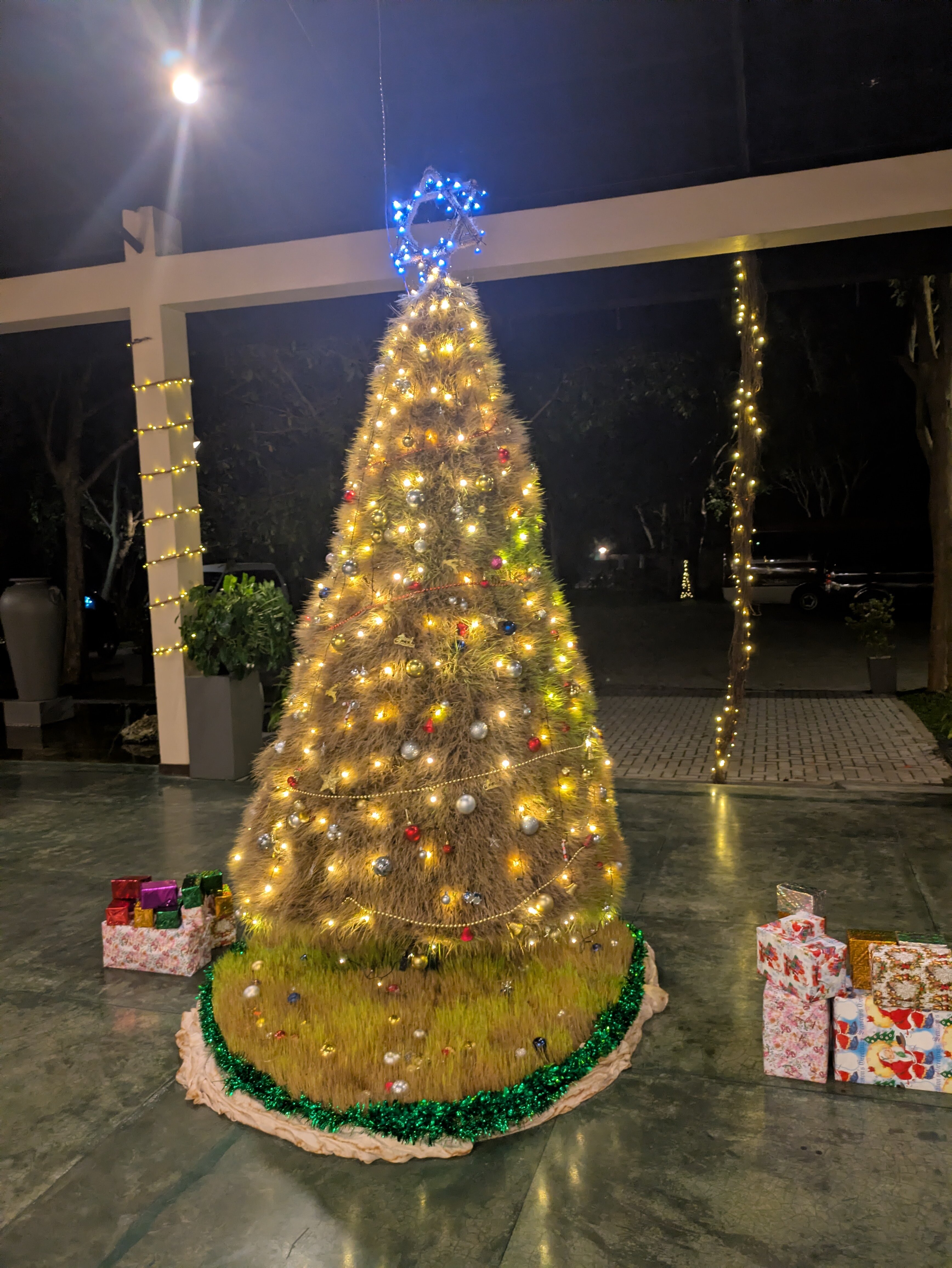 迦叶狮石酒店-官方