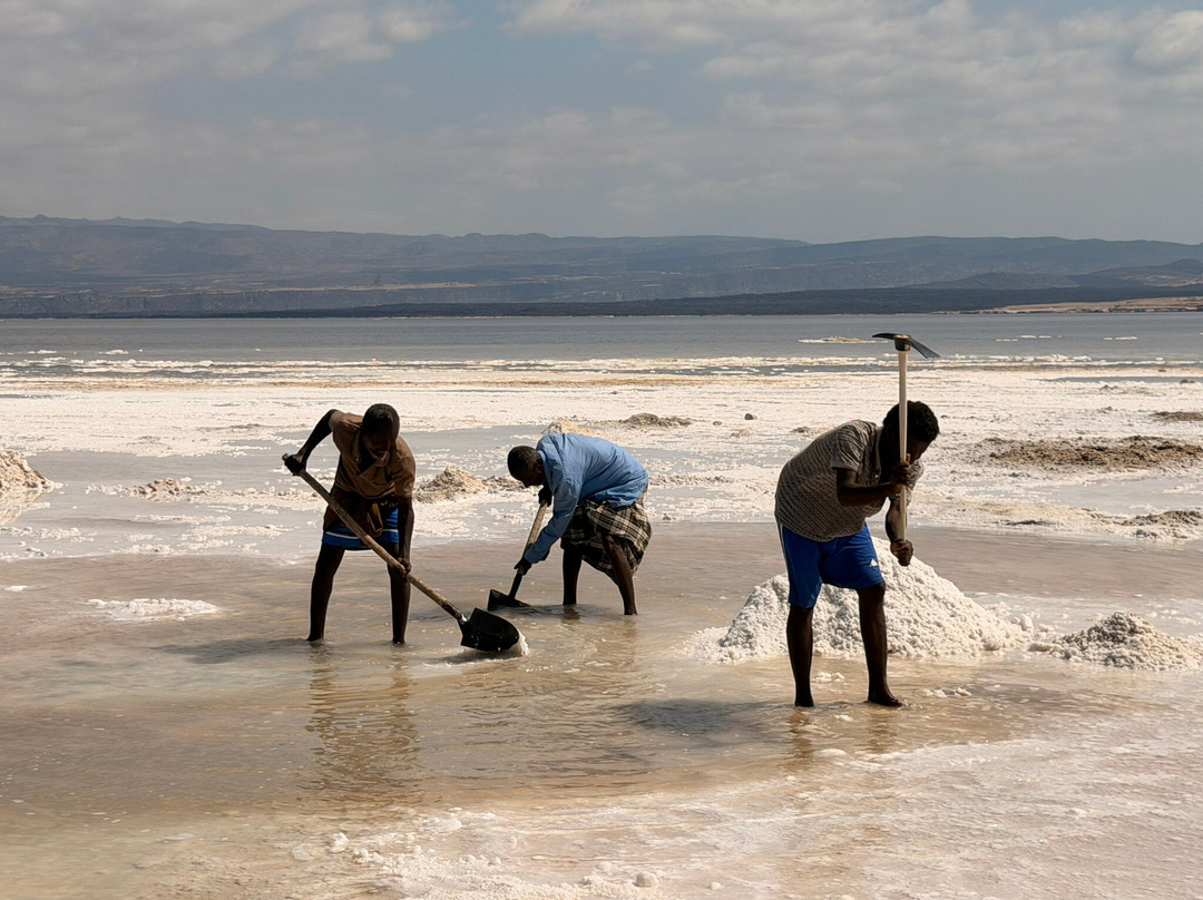 Trip2Djib-吉布地必去景点