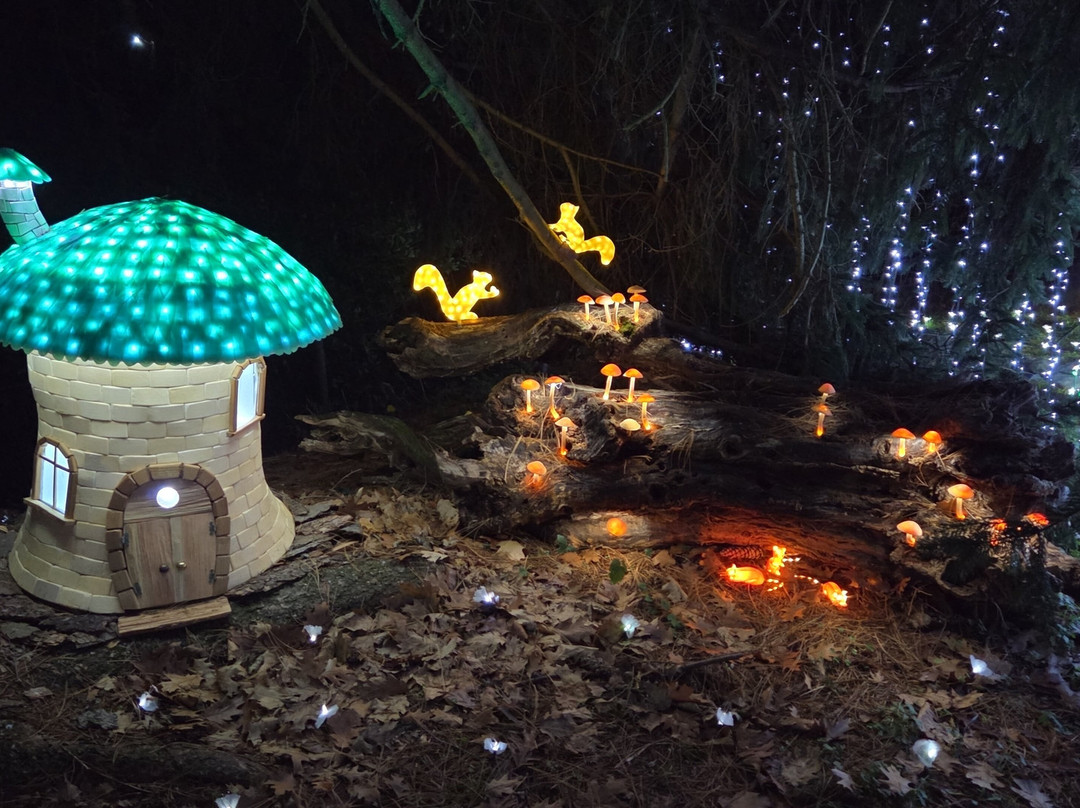 Lucine di Natale-Leggiuno必去景点