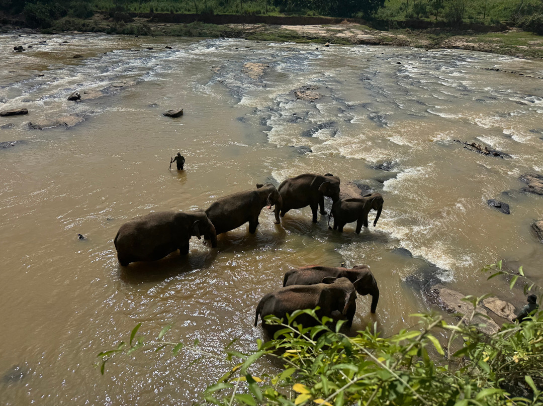 Ceylon Hunt-赛杜瓦必去景点