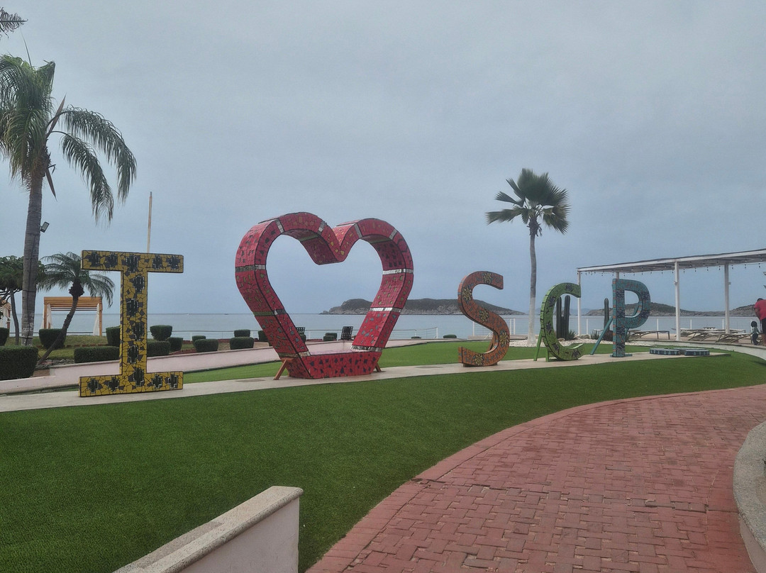 Hotel San Carlos Plaza, Beach & Convention Center主图