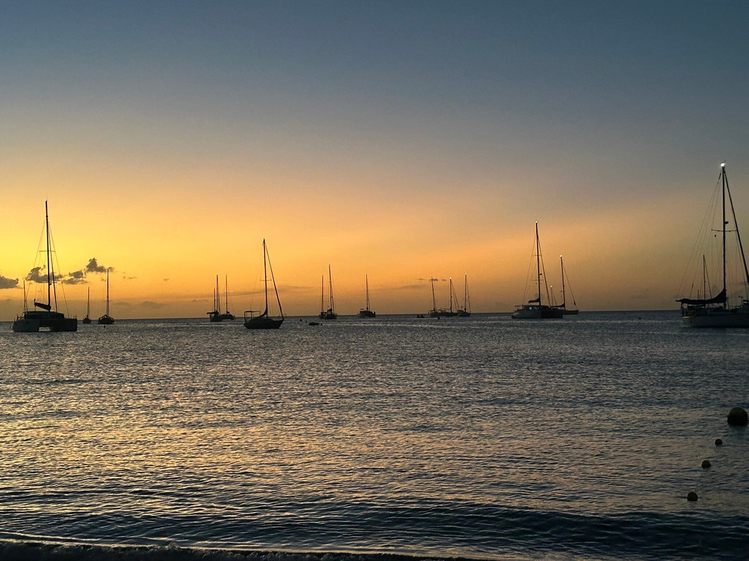 Abc Dive-Trois-Ilets必去景点