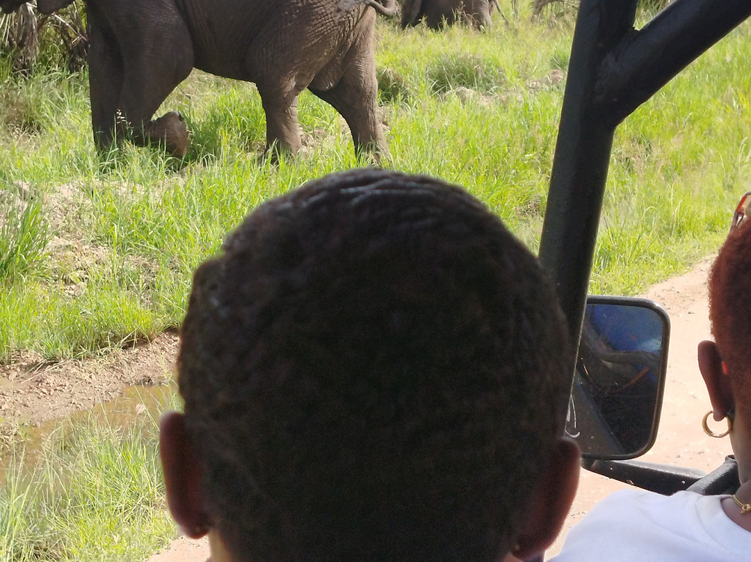 Saadani Tour Operator-巴加莫约必去景点