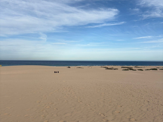 Dunas De Corrallejo-科拉雷侯必去景点