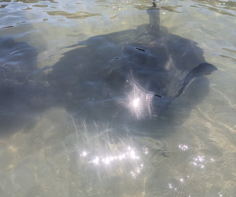 Dive Tatapouri-Gisborne Region必去景点