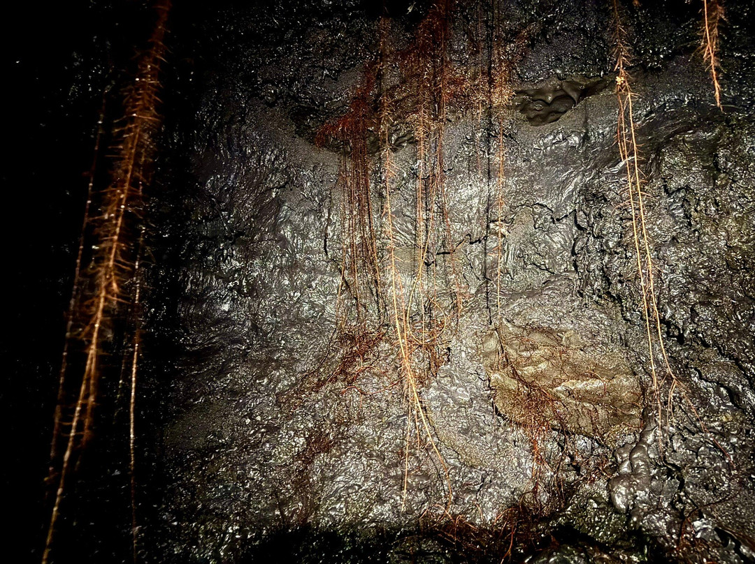 Envergure Réunion-埃勒堡必去景点