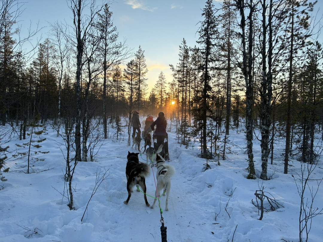 Wilderness Latitude-Vilhelmina必去景点