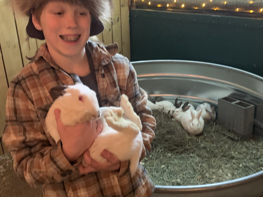 Hollywild Animal Park-斯帕坦堡必去景点