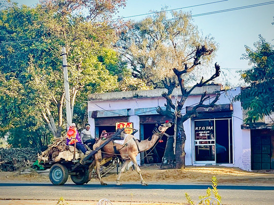 Tour Sultan-碧卡内必去景点
