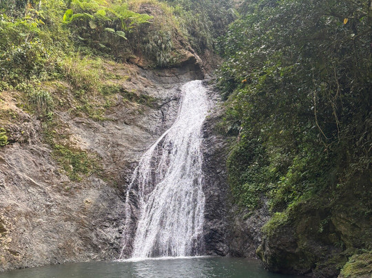 Salto Curet Waterfall-Maricao必去景点