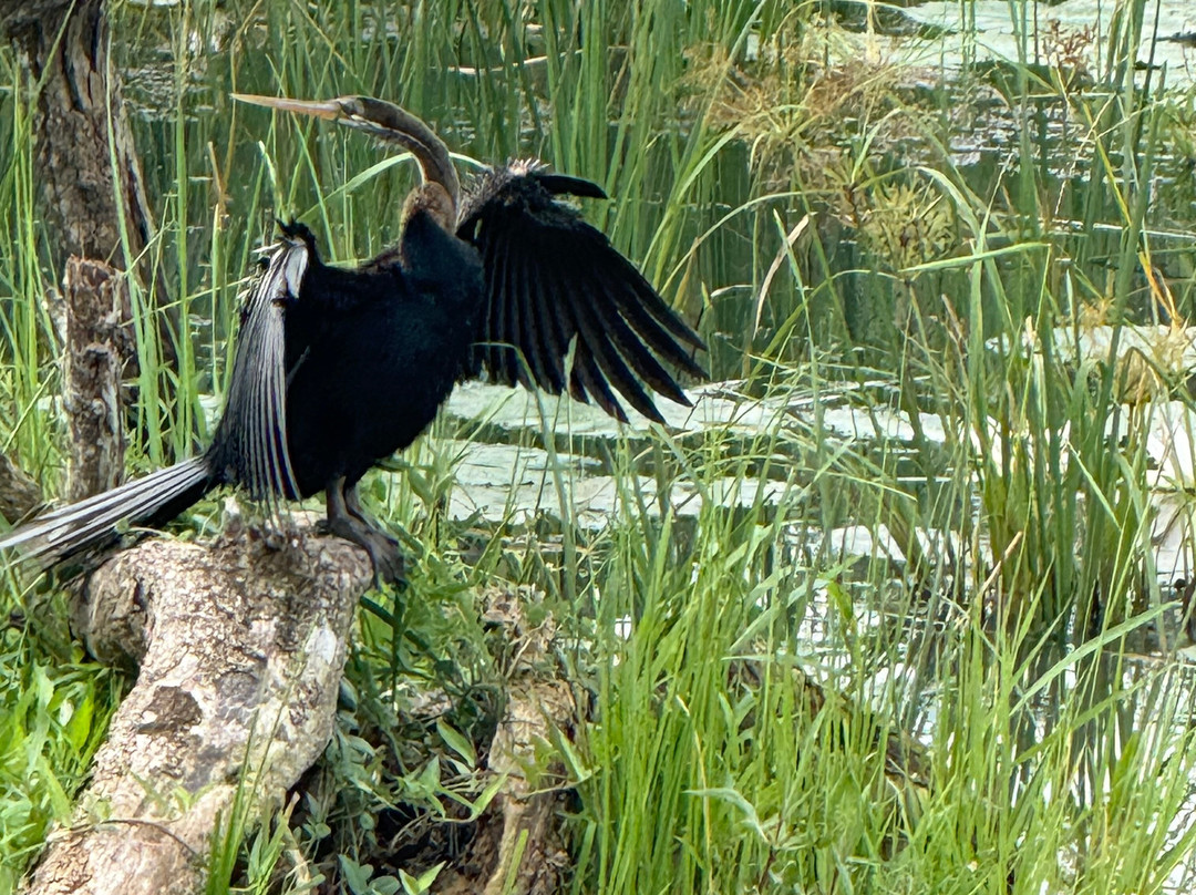 Lanka Tracker - Day Tours-马塔拉必去景点