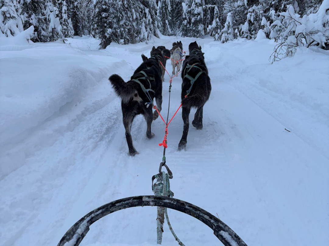 Snowhook Adventure Guides of Alaska-Willow必去景点