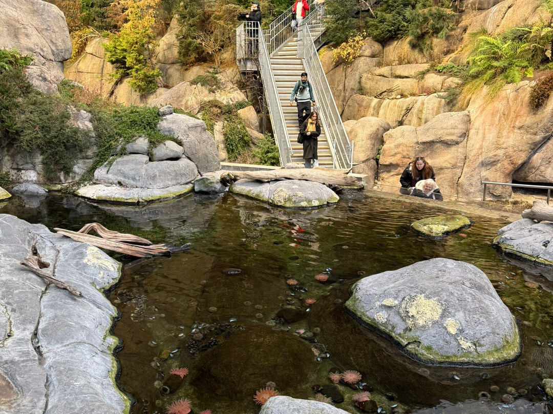 蒙特利尔自然生态博物馆-蒙特利尔必去景点