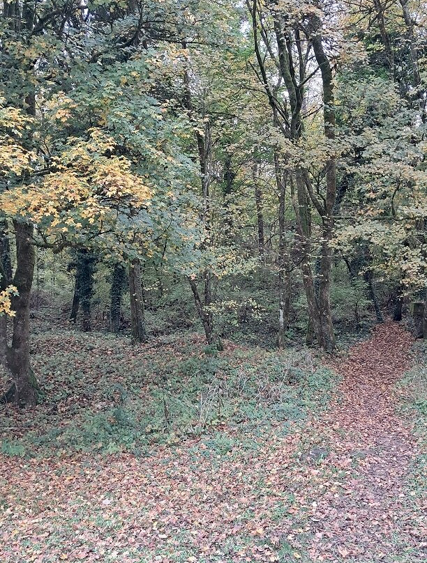 Fort de Souville-凡尔登必去景点