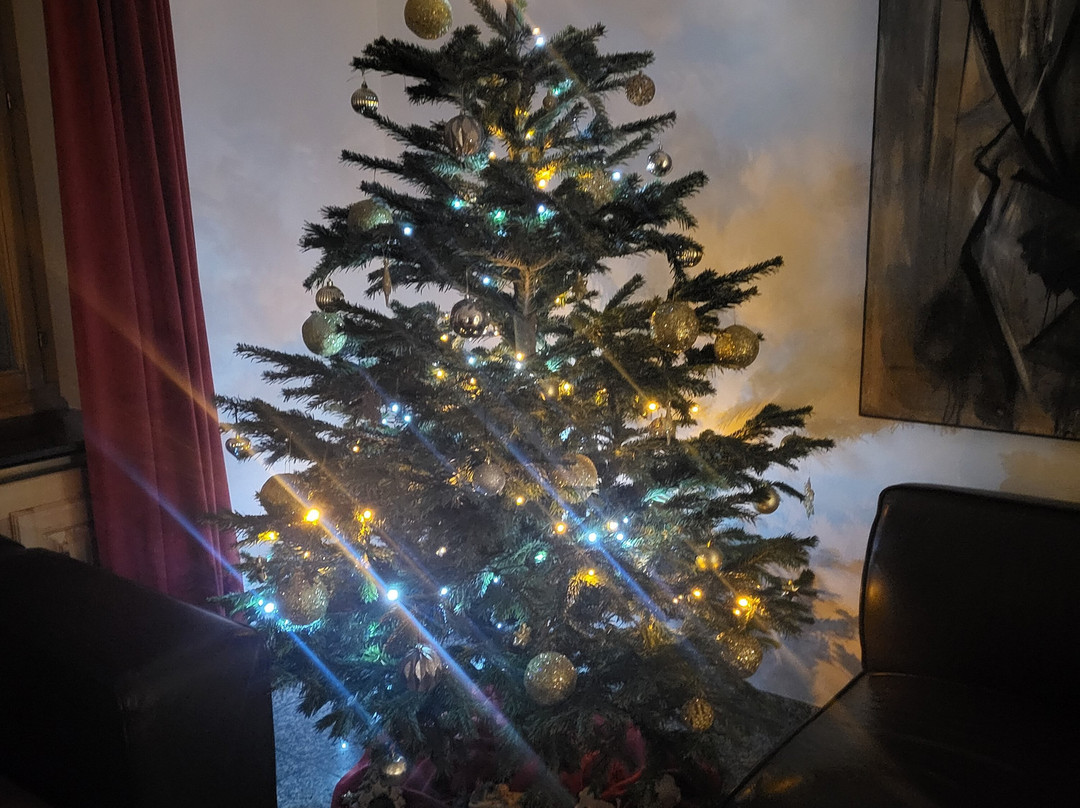 Hotel Grischuna Bivio主图