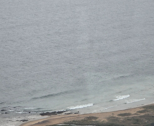 Pema Wellness Retreat主图