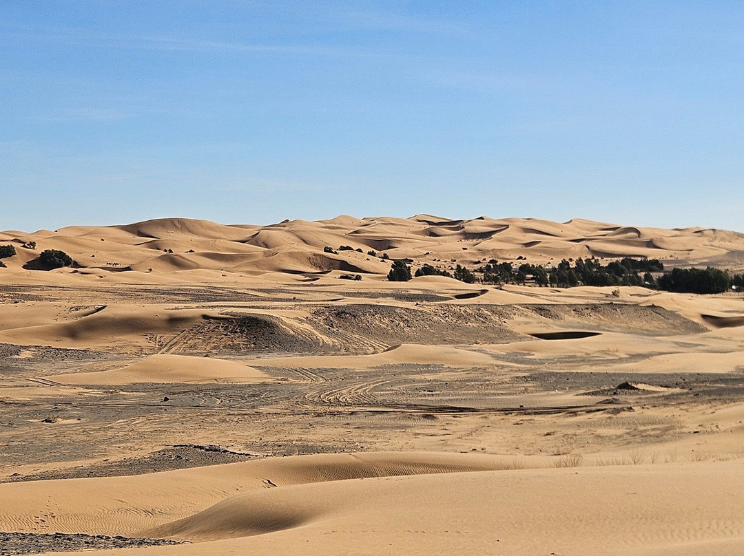 Trips Around Morocco-马拉喀什必去景点