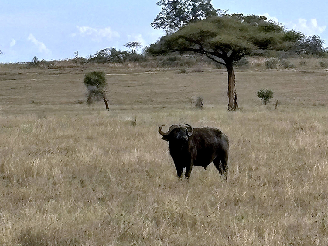 Caracal Tours & Safaris-莫西必去景点