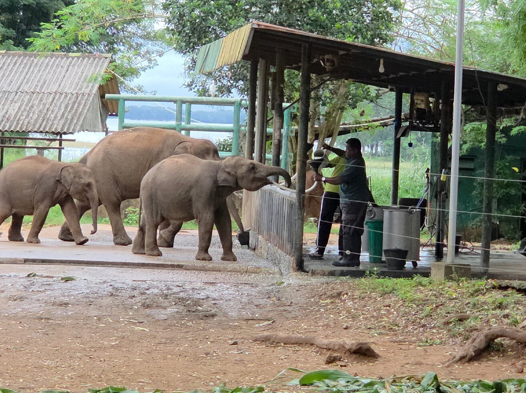 Subara Travels Sri Lanka-Radawana必去景点